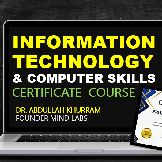 Information Technology Skills